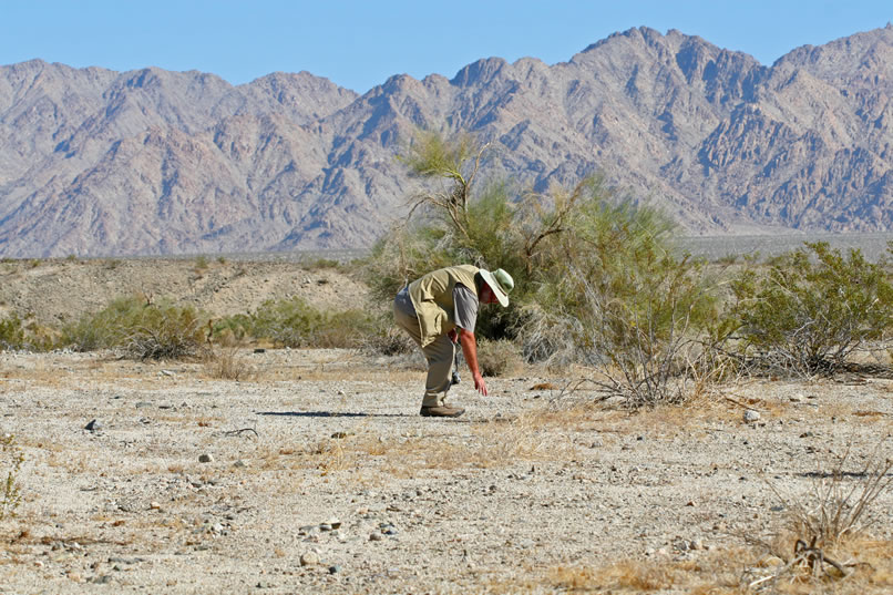 Mohave Blake's geology background means that he's going to be picking up a lot of rocks today!