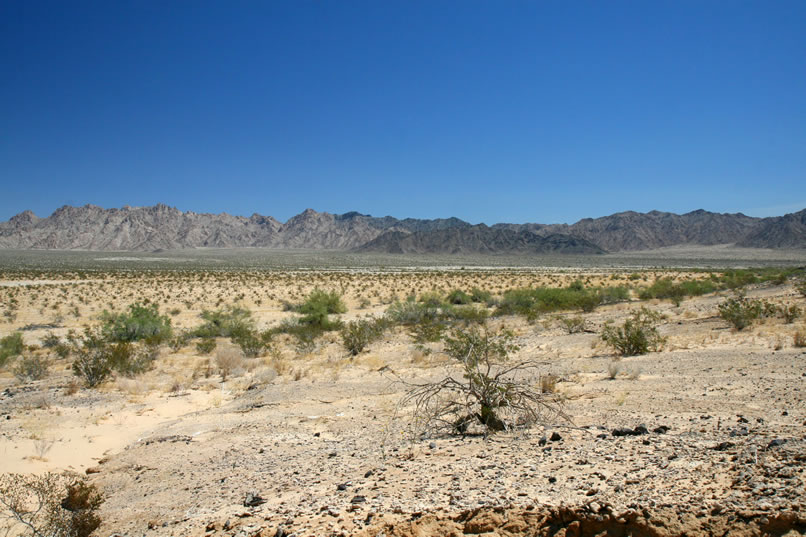 While Niki and Mohave continue west along the wash toward the fossil beds, Jamie explores an elevated area set back from the wash.