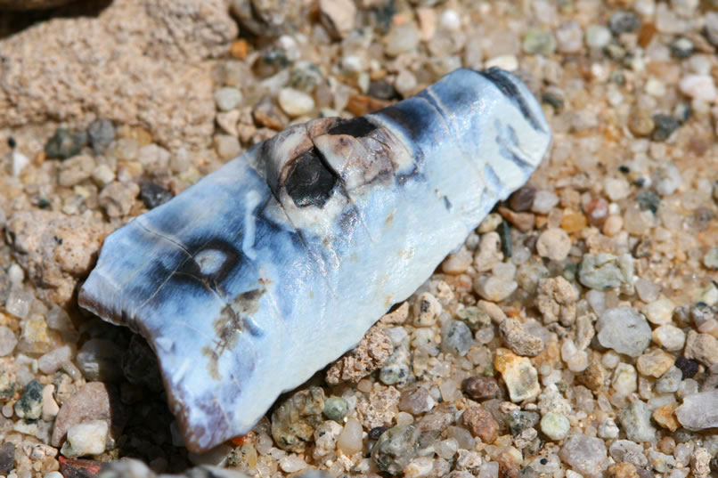 We find several of these colorful fragments.  This is the top view of the first one.