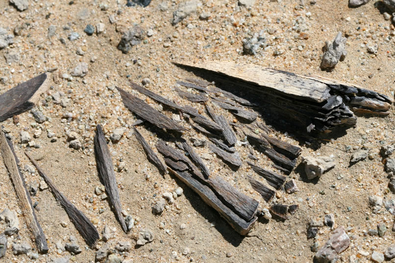 After this last look at these splintered bone fragments, we decide to shift across to the other side of the wash and see what's going on over there.