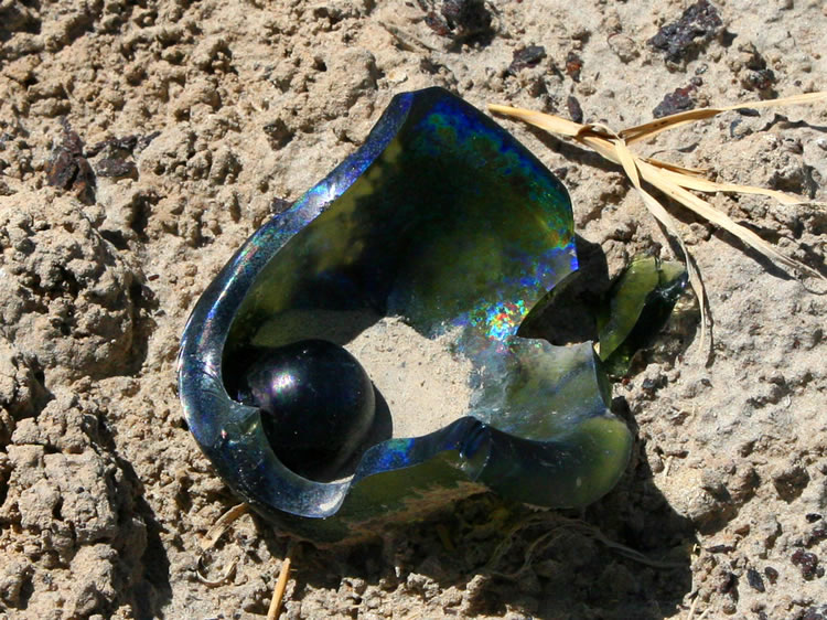 The colorful flash of this decorative glass fragment winked at us from across the gulf of years.