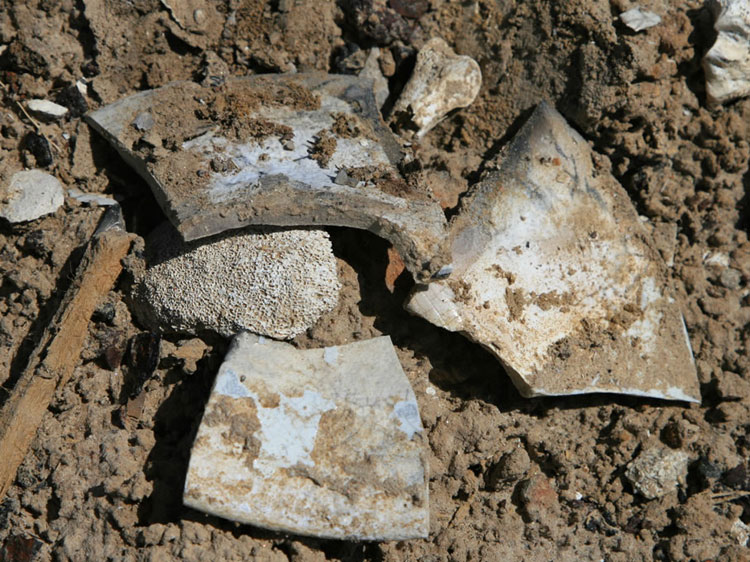 Judging from the amount of bone found among the pottery we might have found the butcher shop!