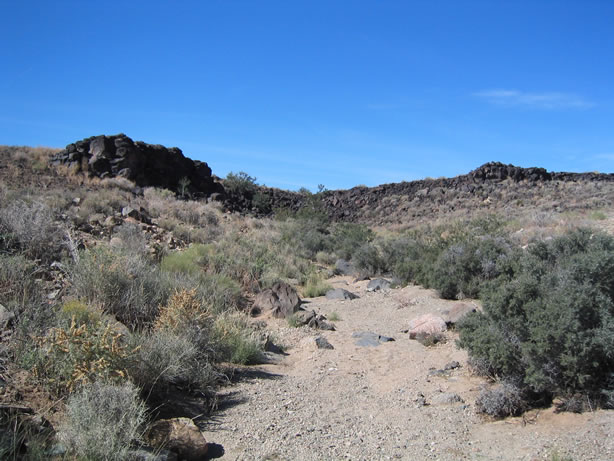 The wash leading to the petroglyph area.