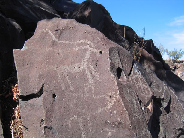 This is our favorite big horn petroglyph.