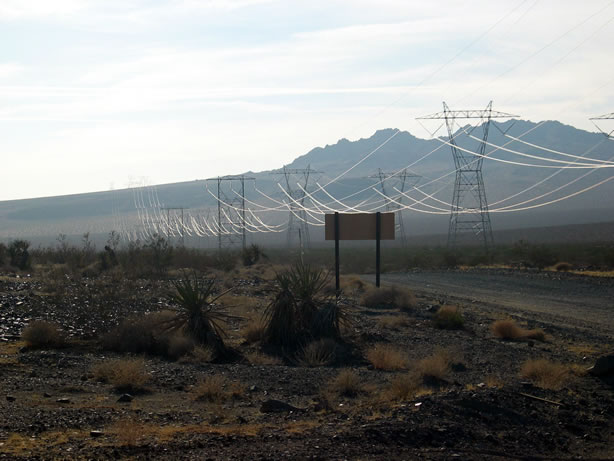 power line spider webs