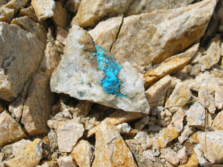 Back down at the mine we continue to find nice rock samples in the tailings.