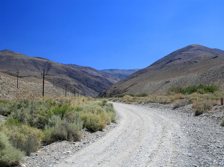 At first glance, the dry and dusty approach to Silver Canyon doesn't seem to hold out much hope for supporting a herd of bighorn sheep.