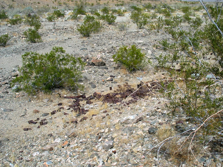 That ghost flower brings us good luck, because shortly afterwards we come upon a large can dump.  The mine camp site is just above it on a flat bench.