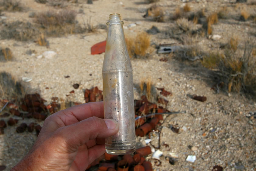 There are several intact bottles mixed in with the cans.