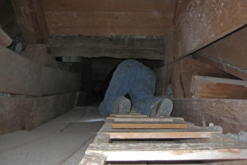 Guy decides to climb up a little further and see what's up there.