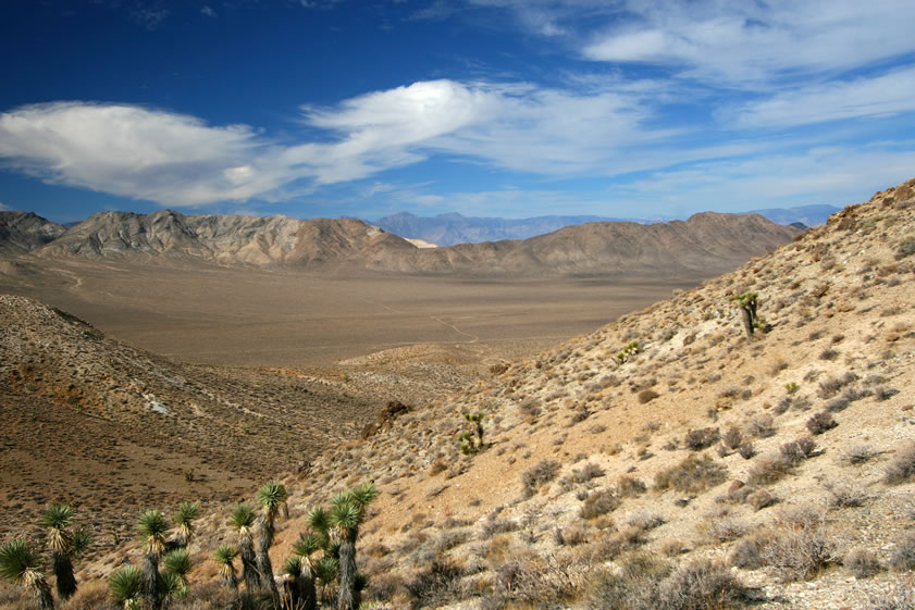 If you look closely in the center of the photo you can just see the thin thread of road winding its way into Ulida Flat.  The Dutton Range then rises up and behind it and out of sight in the next valley is the dry lakebed of the Racetrack.