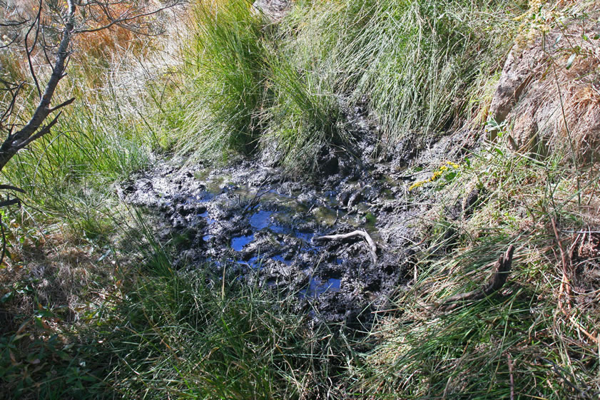 The spring site was probably better maintained when Hunter used it to provide water for his horses. These were used to run pack trains to the mining camps and also to sell to the army.